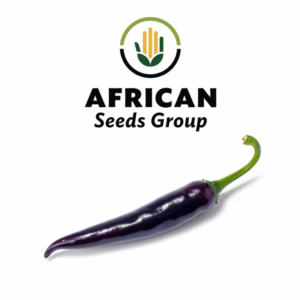 African Seeds Group Black Cayenne - Hot Pepper