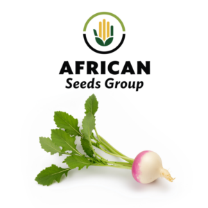African Seeds Group Turnip - Early Purple Top Globe