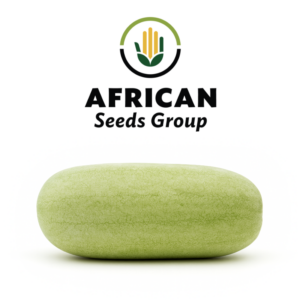 African Seeds Group Charleston Watermelon