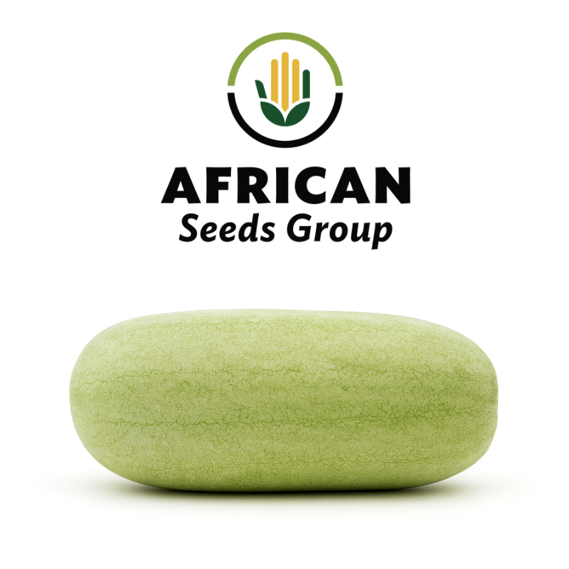 African Seeds Group Charleston Watermelon