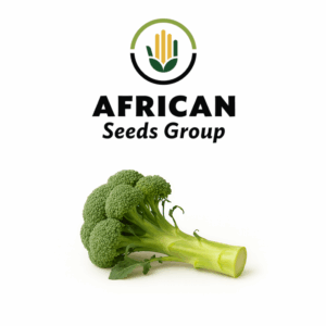 African Seeds Group Broccoli - Green Sprouting