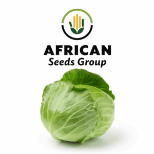 African Seeds Group Cabbage - Copenhagen Market