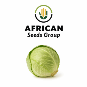 African Seeds Group Cabbage - Brunswick