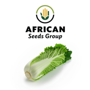African Seeds Group Chinese Cabbage - Granaat