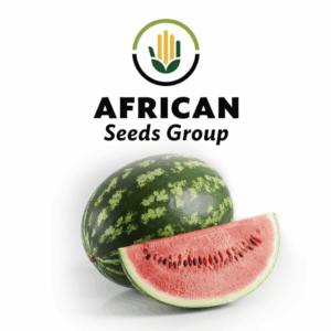 African Seeds Group Watermelon - Crimson Sweet
