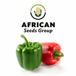 African Seeds Group Green Red Sweet Peppers