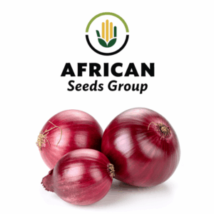 African Seeds Group Red Creole Onion