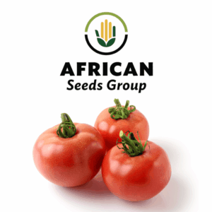 African Seeds Group Roadie Tomato
