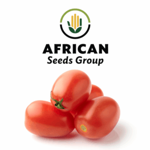 African Seeds Group Roma Tomato