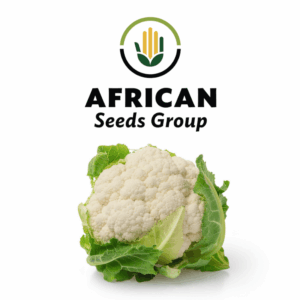 African Seeds Group Snowball Cauliflower