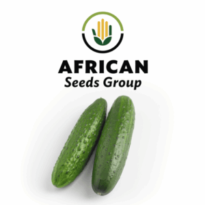African Seeds Group Cucumber - Special Rust Resistant