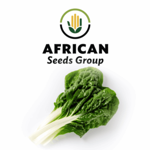 African Seeds Group - Swiss Chard Fordhook Giant