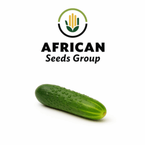 African Seeds Group Cucumber - Ashley