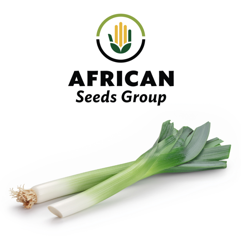 African Seeds Group Giant Leak Carentan