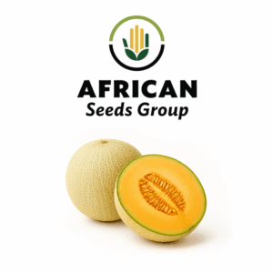 African Seeds Group Hales - Melon Orange Flesh