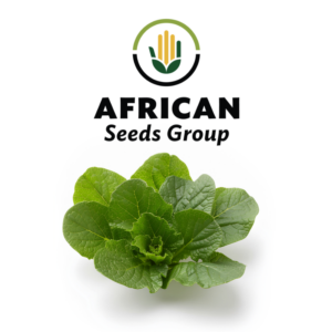 African Seeds Group Mustard - Florida Broadleaf