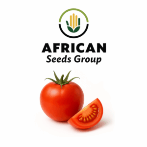 African Seeds Group Tomato Round - Moneymaker