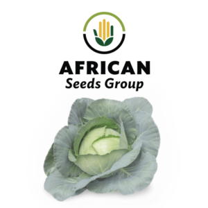 African Seeds Group Cabbage - Defender