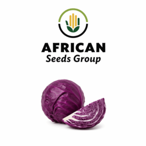 African Seeds Group Mustang - Baby Cabbage, Red