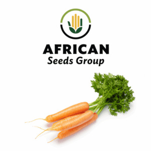 African Seeds Group Carrot - Nantes