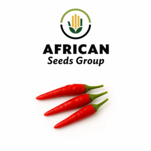 African Seeds Group Hot Pepper - Birds Eye Hybrid