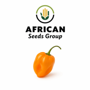 African Seeds Group Habenero Orange Hot Pepper - Hybrid