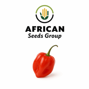 African Seeds Group Habenero Red Hot Pepper - Hybrid
