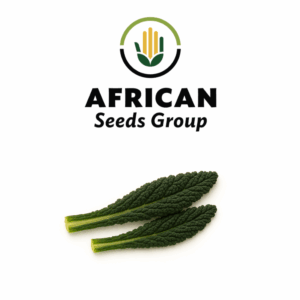 African Seeds Group Kale - Cavolo Nero