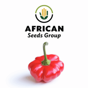 African Seeds Group Brazilian Starfish - Hot Pepper