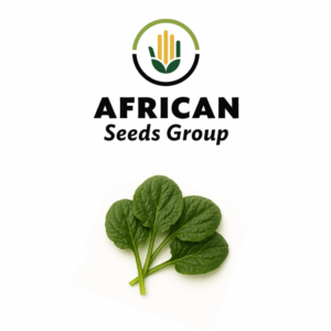 African Seeds Group Kiowa Spinach - Hybrid