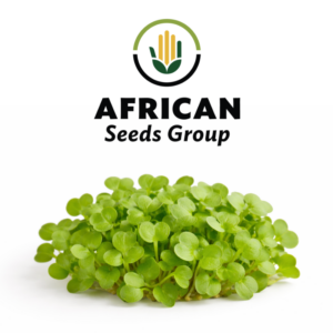 African Seeds Group Aurora Lucernce - Microgreen Seeds