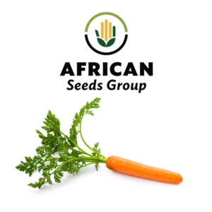 African Seeds Group Carrot - Dorado