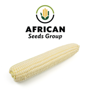 African Seeds Group Maize White