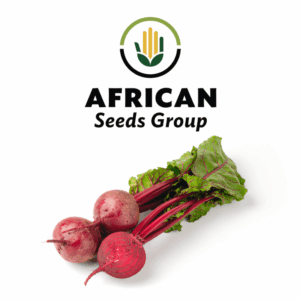 African Seeds Group Beetroot - Scarlet