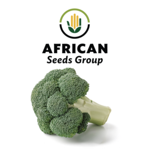 African Seeds Group Broccoli - Iron Man