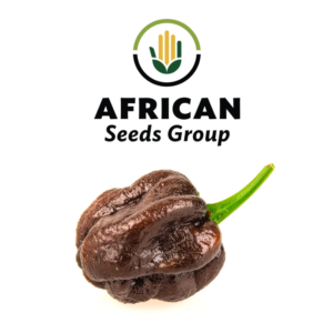 African Seeds Group Habanero Chilli