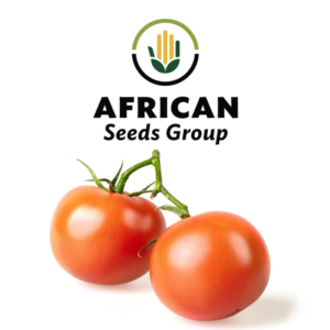 African Seeds Group Tomato - Monet
