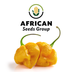 African Seeds Group Trinidad Moruga Scorpion Yellow Chilli