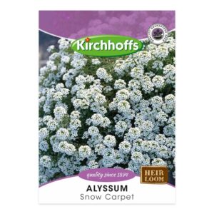 Kirchhoffs - Alyssum Snow Carpet - New