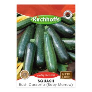 Kirchhoffs - Casserta Squash - New