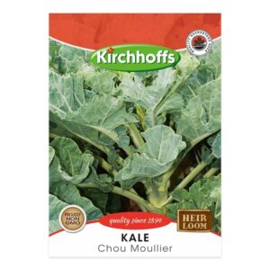 Kirchhoffs - Chou Moulier - New