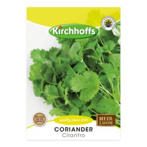 Cilantro