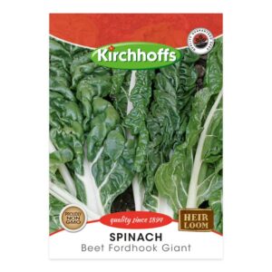 Kirchhoffs - Fordhook Giant Spinach - New
