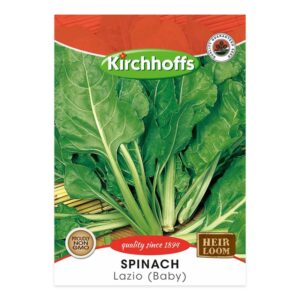 Kirchhoffs - Matador - New