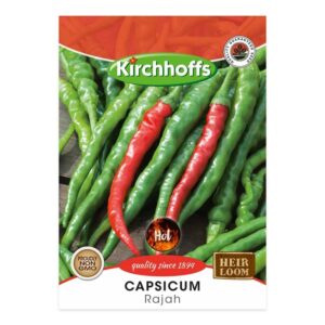 Kirchhoffs - Rajah Pepper - New