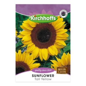 Kirchhoffs - Tall Yellow Sunflower - New